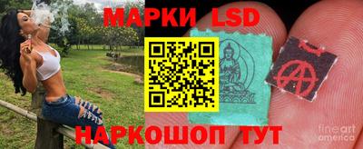 гидра Лесосибирск
