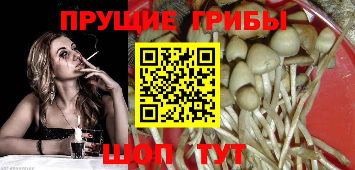 Псилоцибиновые грибы ЛСД  даркнет сайт  Еманжелинск  Псилоцибиновые грибы прущие грибы  Вход с VPN 