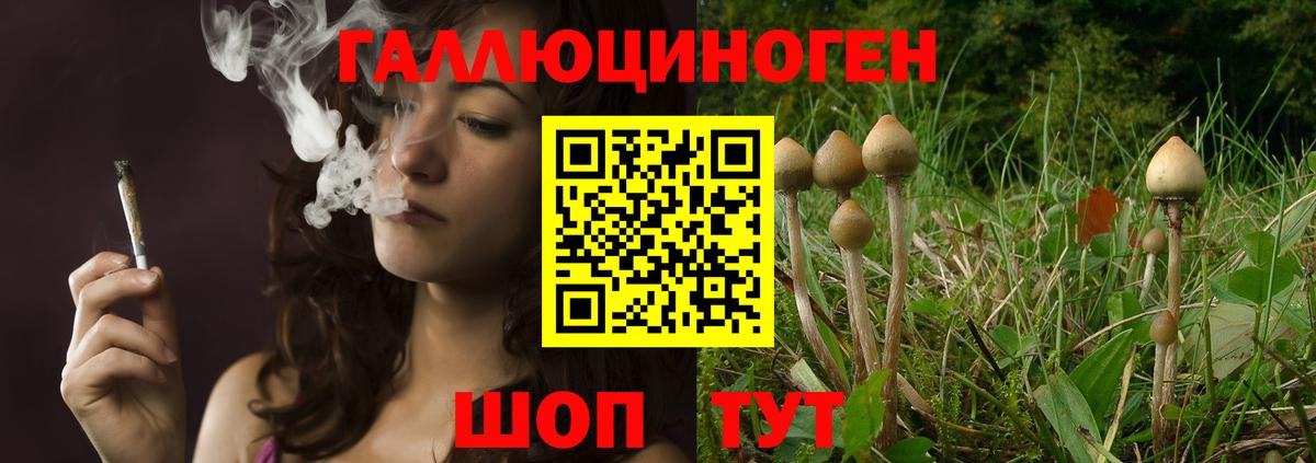 Псилоцибиновые грибы прущие грибы Еманжелинск